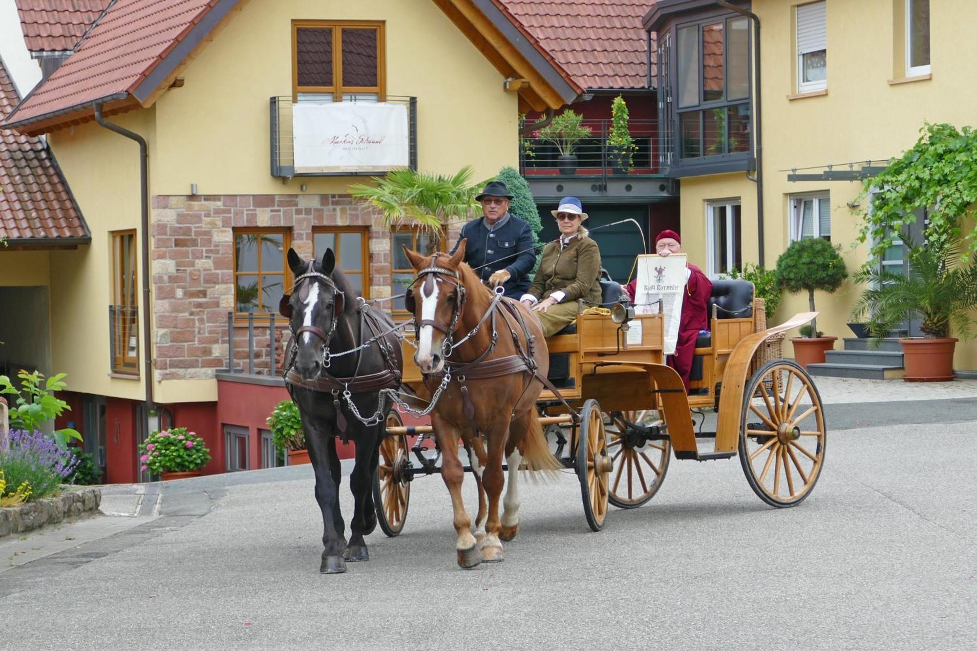 Hotel Garni Sebastian Kirrweiler  Eksteriør bilde